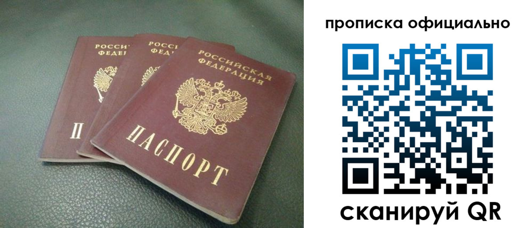 прописка для школы в Апатитах