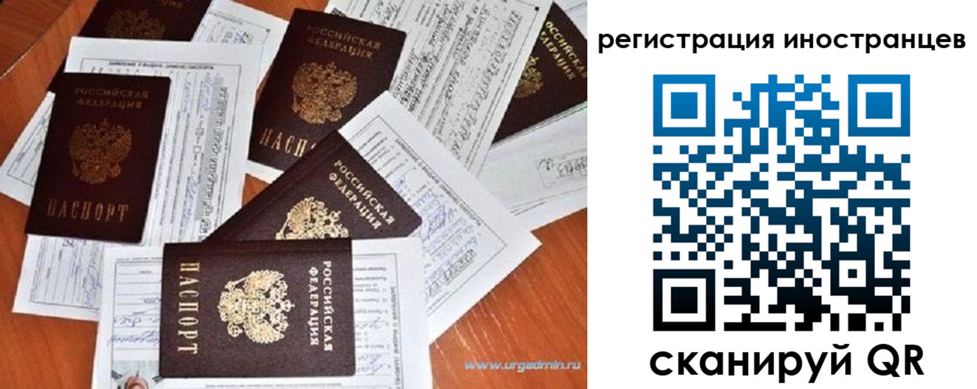 временная регистрация гарантия в Апатитах
